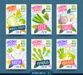 Abstract splash Food label template. Vegetables, fruits, spices, package design. Radish, asparagus, kohlrabi, leek
