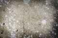 Abstract splash of white color on cement background texture