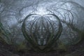 An Abstract, Spooky Circular Effect. Looking Up Into The Sky Of An Atmospheric Forest And Branches On A Foggy Winters Day