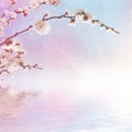 Abstract spring background Royalty Free Stock Photo