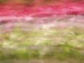 Spring Colors Abstract Royalty Free Stock Photo