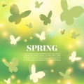 Abstract Spring Greeting Card or Poster Design. Beautiful Blurred Lights with Butterflies Spring background. Royalty Free Stock Photo