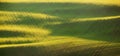 Abstract spring landscape with green fields at colorful sunset