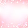 Abstract spring summer background in light pink pastel color, sweet love theme with butterfly