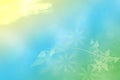 Abstract spring or summer flower background. Abstract flower background with beautiful green flowers, sun lights and blue sky.