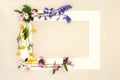 Abstract Springtime Beltane Wildflower Background Frame
