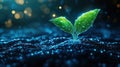 Abstract sprout emerging from digital soil glowing bokeh background