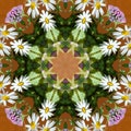 Abstract square background of pattern of a kaleidoscope. White yellow green pink floral background fractal mandala. abstract kalei Royalty Free Stock Photo