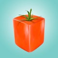 Abstract square red tomato