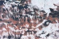 Abstract stained metal texture background. Old surface with light and black rust and dirt.