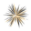 Abstract Star Explosion Royalty Free Stock Photo