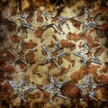 Abstract star on military background Royalty Free Stock Photo