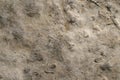 Abstract Stone Textures surface background closeup Royalty Free Stock Photo