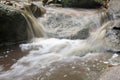 Abstract stone with waterfall and beautiful green leaf.