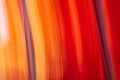 Abstract streaks of red and orange with two thicker brown lines