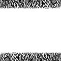 Abstract geometric frame on the skin of a zebra Royalty Free Stock Photo