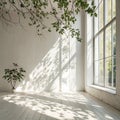 Abstract studio room with sunlight and leaf shadows Royalty Free Stock Photo