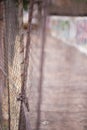 An abstract style shot of shoddy wire mesh fencing and gates wit Royalty Free Stock Photo