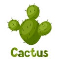 Abstract stylized cactus and text background