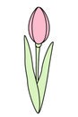 Abstract stylized tulip flower in trendy soft marker shades. Design elements for spring greetings