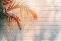 Abstract summer background with palm leafs and brick wall Royalty Free Stock Photo