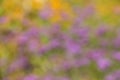 Abstract Summer Flower Nature Blur Background Royalty Free Stock Photo