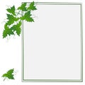 Abstract summer natural floral background with grape leaves, green ivy foliage with frame template for text with copy space on a