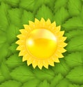 Abstract Sun on Green Leaves Seamless Texture, Eco Friendly