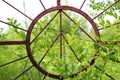 abstract sun image on old rusty iron gate Royalty Free Stock Photo