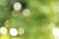 Abstract sunlight effect on blurry green background stock photo Royalty Free Stock Photo