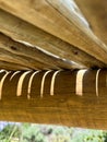 Abstract sunlit wooden structure