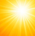 Abstract sunny background Royalty Free Stock Photo