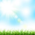 Abstract sunny spring background Royalty Free Stock Photo