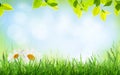 Abstract sunny spring background Royalty Free Stock Photo
