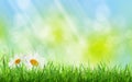 Abstract sunny spring background Royalty Free Stock Photo