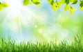 Abstract sunny spring background