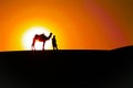 Abstract Sunrise: Man and Camel,Desert Silhouettes
