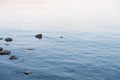 Abstract sunrise ocean with stones, lonely seagull in the water and sky background. Morning light, blurred panning motion, shallow Royalty Free Stock Photo