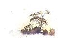 Abstract sunrise and tree landscape on watercolor illustration painting