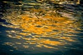 Sunset reflections on the river waters Royalty Free Stock Photo
