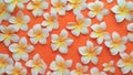 Abstract and sweet background with soft orange plumeria frangipani flowers Royalty Free Stock Photo