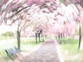Abstract swirl of spring cherry blossoms in a park with leading path. Royalty Free Stock Photo