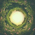 abstract swirled background of nature