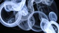 Abstract Swirling Blue Smoke Pattern on Black Background Royalty Free Stock Photo