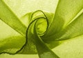 Abstract swirling lime green fabric texture with dark edging Royalty Free Stock Photo