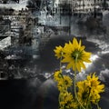 Abstract symbols and yellow flowers