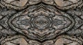 Abstract Symmetric Tree Bark Texture Kaleidoscope Pattern Royalty Free Stock Photo