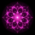 Abstract Symmetrical Flower Pattern With Neon Pink Light On Black Background Royalty Free Stock Photo