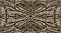 Abstract Symmetrical Tree Bark Texture Pattern Royalty Free Stock Photo
