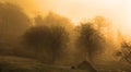 Abstract view of Padley Goege, Derbyshire